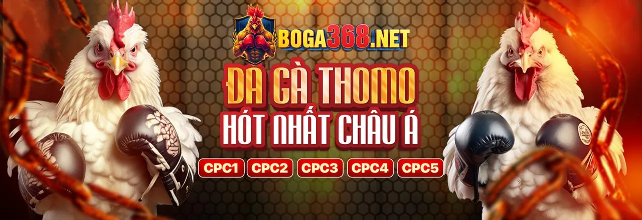 Đá gà trực tuyến LC888